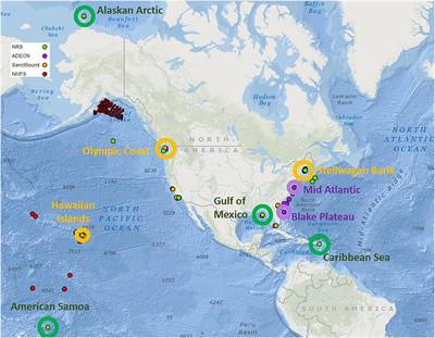 The Next Wave of Passive Acoustic Data Management: How Centralized Access Can Enhance Science